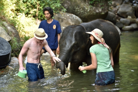 Desde Phuket: Experiencia de cuidado de elefantes con rafting y tirolinaDesde Phuket