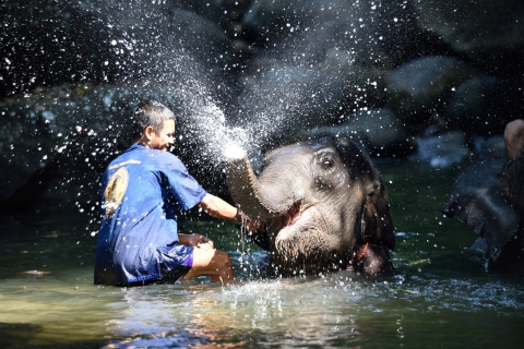 Olifantenopvang met Rafting 5 km.Vanuit Phuket: olifanten verzorgen en 5 km raften
