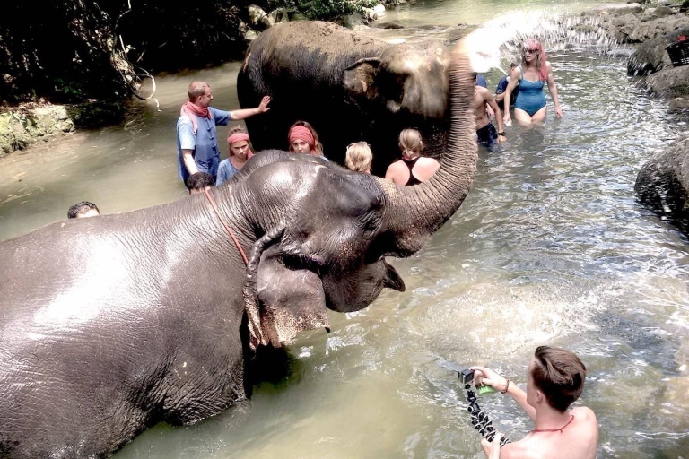 Soins aux éléphants avec rafting 5 km.Depuis Phuket : soin des éléphants et rafting de 5 km