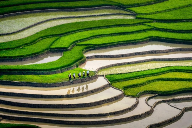 From Hanoi: Visit Sapa 3 Days & See The Terraced Fields Group Tour With A 4-Star Hotel