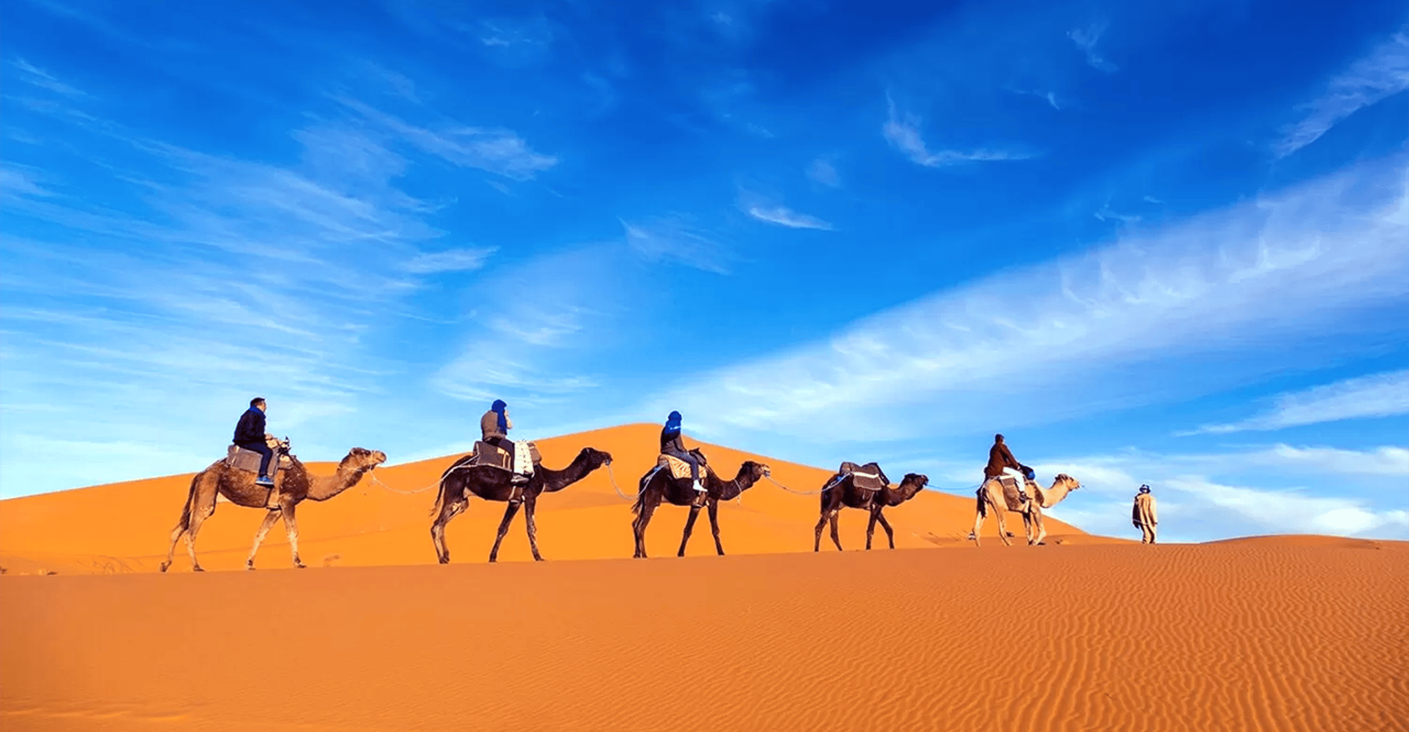 Marrakech, 2 jours Sahara Desert Safari Zagora & Ait Ben Haddou - Hizvo