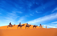 Marrakesch, 2Tage Sahara Wüste Safari Zagora & Ait Ben Haddou - Hizvo