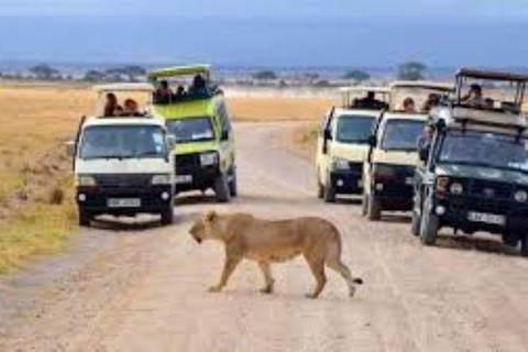 Nairobi; Excursión en vehículo por el Parque Nacional con servicio de recogida