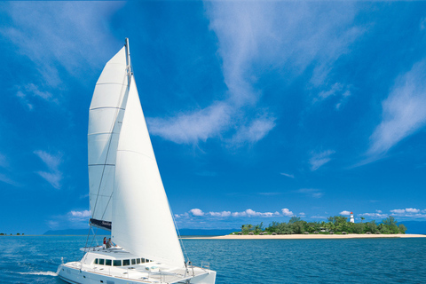 Port Douglas : Croisière sur le récif et les îles basses en catamaran de luxePort Douglas : Croisière Reef & Low Isles