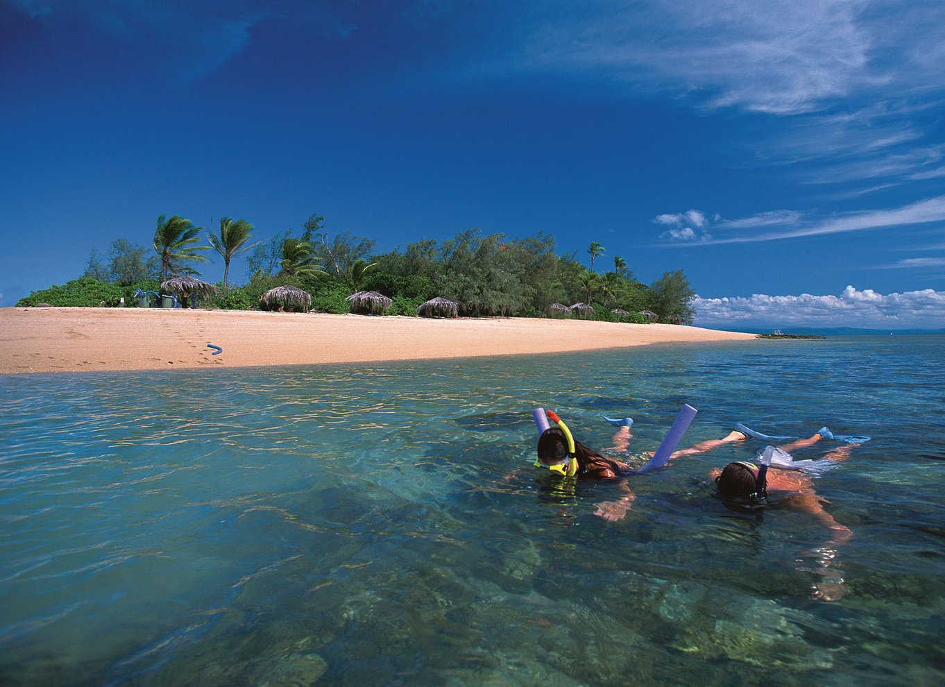 Port Douglas: Reef & Low Isles-krydstogt på luksuskatamaran