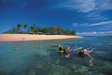 Port Douglas: Rejs po rafie i wyspach Low na luksusowym katamaraniePort Douglas: rejs po rafie i niskich wyspach