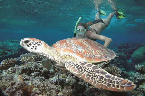 Port Douglas: Rejs po rafie i wyspach Low na luksusowym katamaraniePort Douglas: rejs po rafie i niskich wyspach