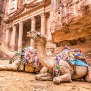 Da Gerusalemme: tour di 2 giorni di Petra, Jerash e Amman