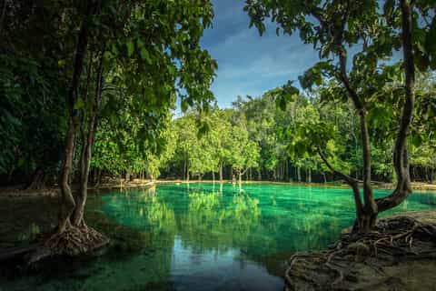 Krabi: Tiger Temple, Hot Springs & Crystal Pool Jungle Tour