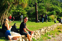 Queen Charlotte Sound Mail Boat Cruise depuis Picton - Housity
