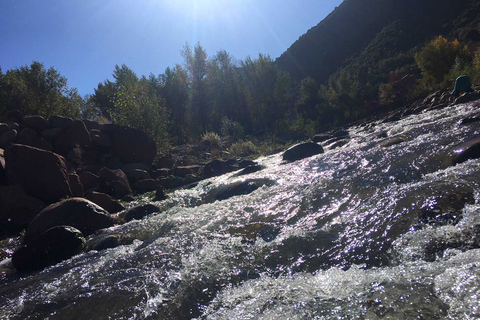 Da Marrakech: Tour di un giorno della Valle dell&#039;Ourika e delle Montagne dell&#039;AtlanteTour guidato di 1 giorno