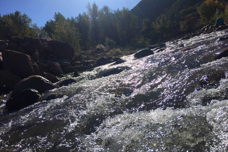 De Marrakech: Excursão de um dia ao Vale do Ourika e às Montanhas AtlasExcursão Guiada de 1 DIa