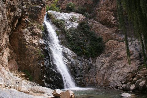 Da Marrakech: Tour di un giorno della Valle dell&#039;Ourika e delle Montagne dell&#039;AtlanteTour guidato di 1 giorno