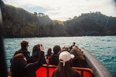 Bootstour "Geheimnisse der Westküste der Insel São Miguel"