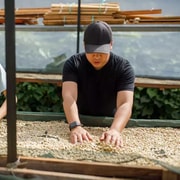 Da Lat: Arabica Coffee Farm Tour with Sustainable Focus