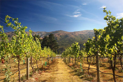 Queenstown & Gibbston Valley Wijn Hopper BusQueenstown & Gibbston Valley Wine Hopper-bus