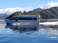 Queen Charlotte Sound Mail Boat Cruise depuis Picton - Housity