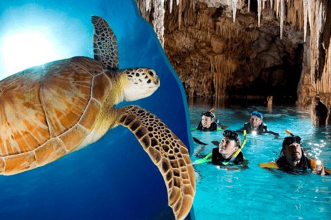 Vanuit Cancun: uitstap schildpadden en cenotesVanuit Cancun: uitstap schildpadden en cenotes in de middag