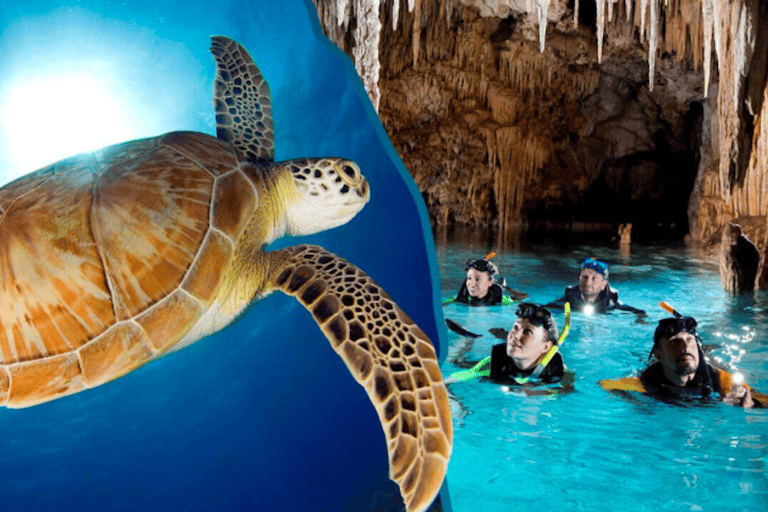 Ab Cancún: Schildkröten und CenotenSchildkröten und Cenoten-Tour am Nachmittag