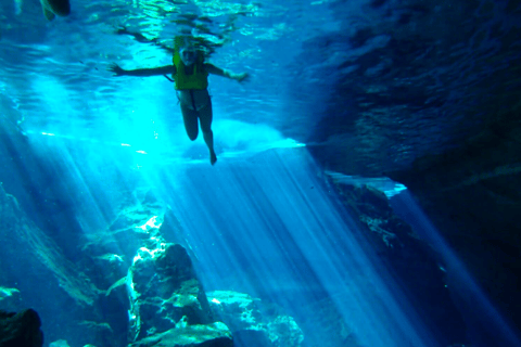 Vanuit Cancun: uitstap schildpadden en cenotesVanuit Cancun: uitstap schildpadden en cenotes in de middag