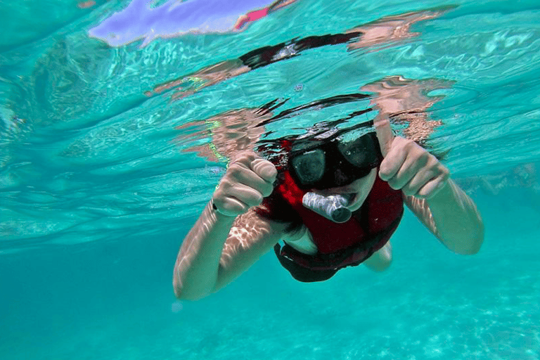 Vanuit Cancun: uitstap schildpadden en cenotesVanuit Cancun: uitstap schildpadden en cenotes in de middag