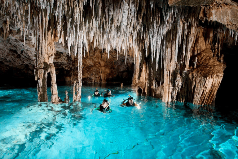 Tour de tortugas y cenotesTour vespertino de tortugas y cenotes