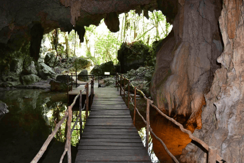 Tour de tortugas y cenotesTour vespertino de tortugas y cenotes