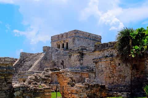 Tour de Tulum y el cenote Dos Ojos