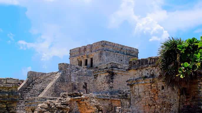 tulum and cenote dos ojos tour