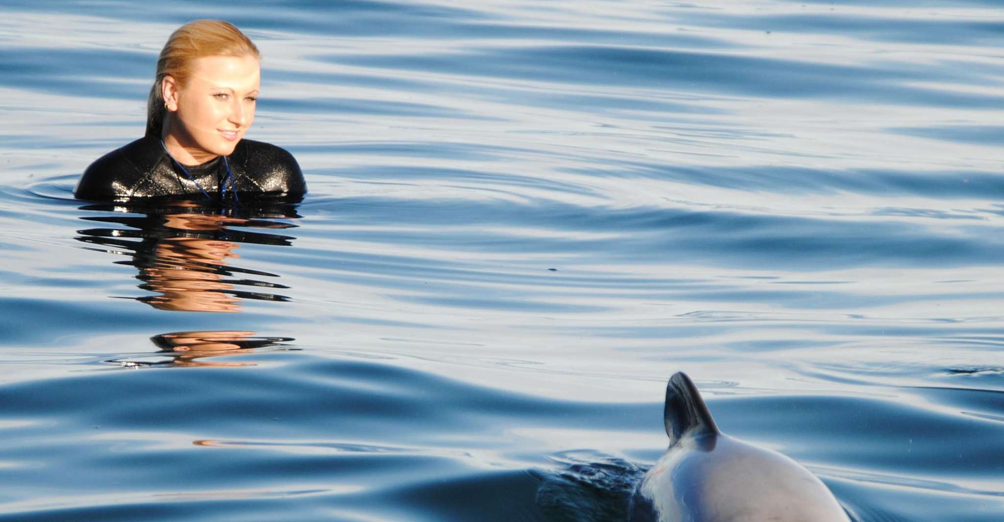 Akaroa, Swimming with Wild Dolphins 3-Hour Experience - Housity