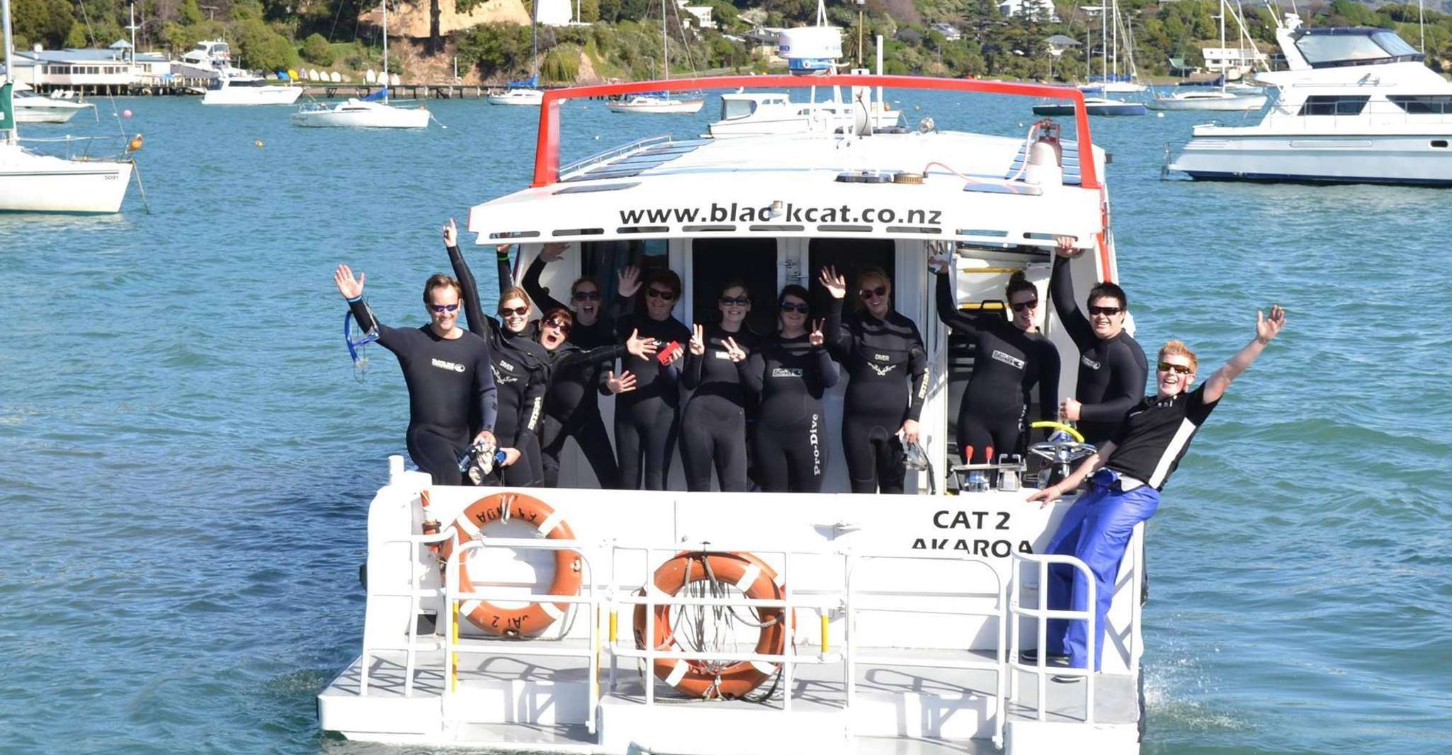 Akaroa, Swimming with Wild Dolphins 3-Hour Experience - Housity