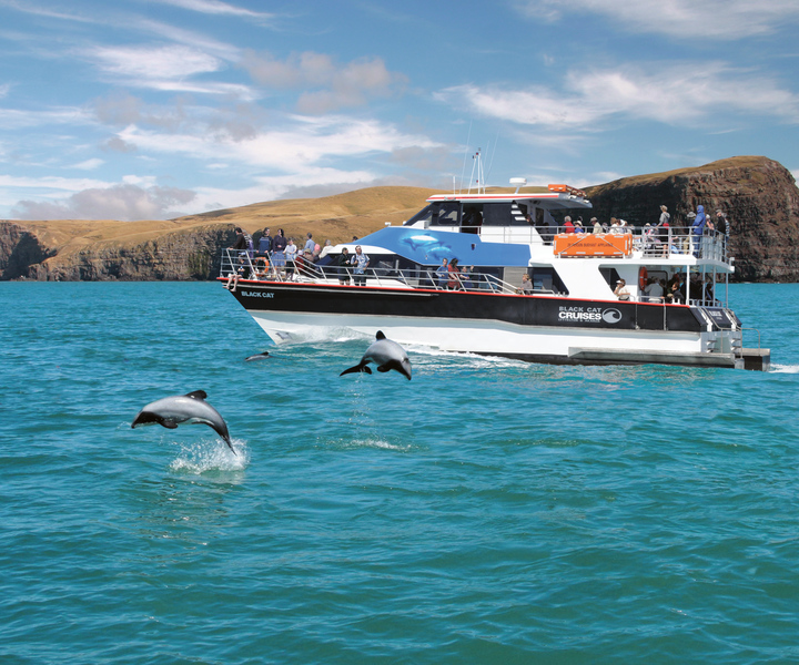 Akaroa Harbour 2-Hour Nature Cruise