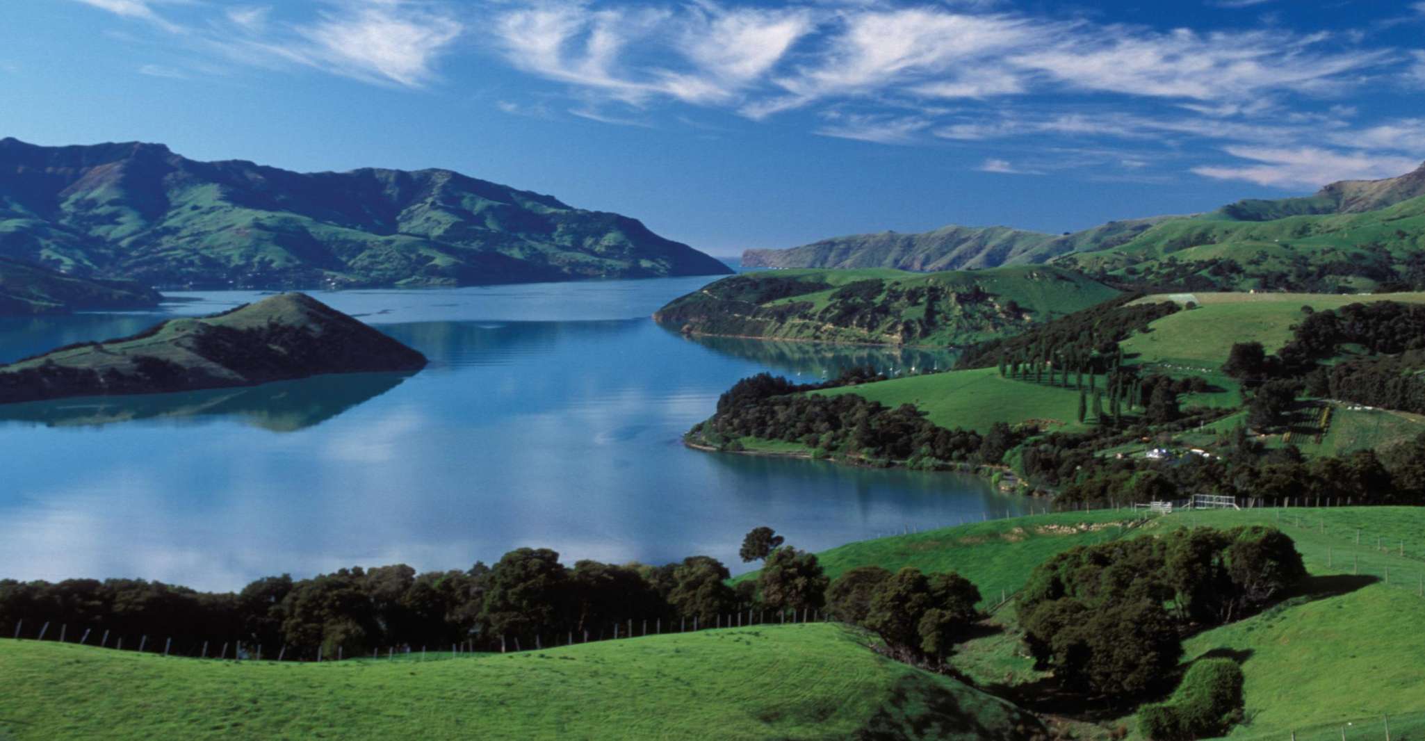 Akaroa Harbour 2-Hour Nature Cruise - Housity