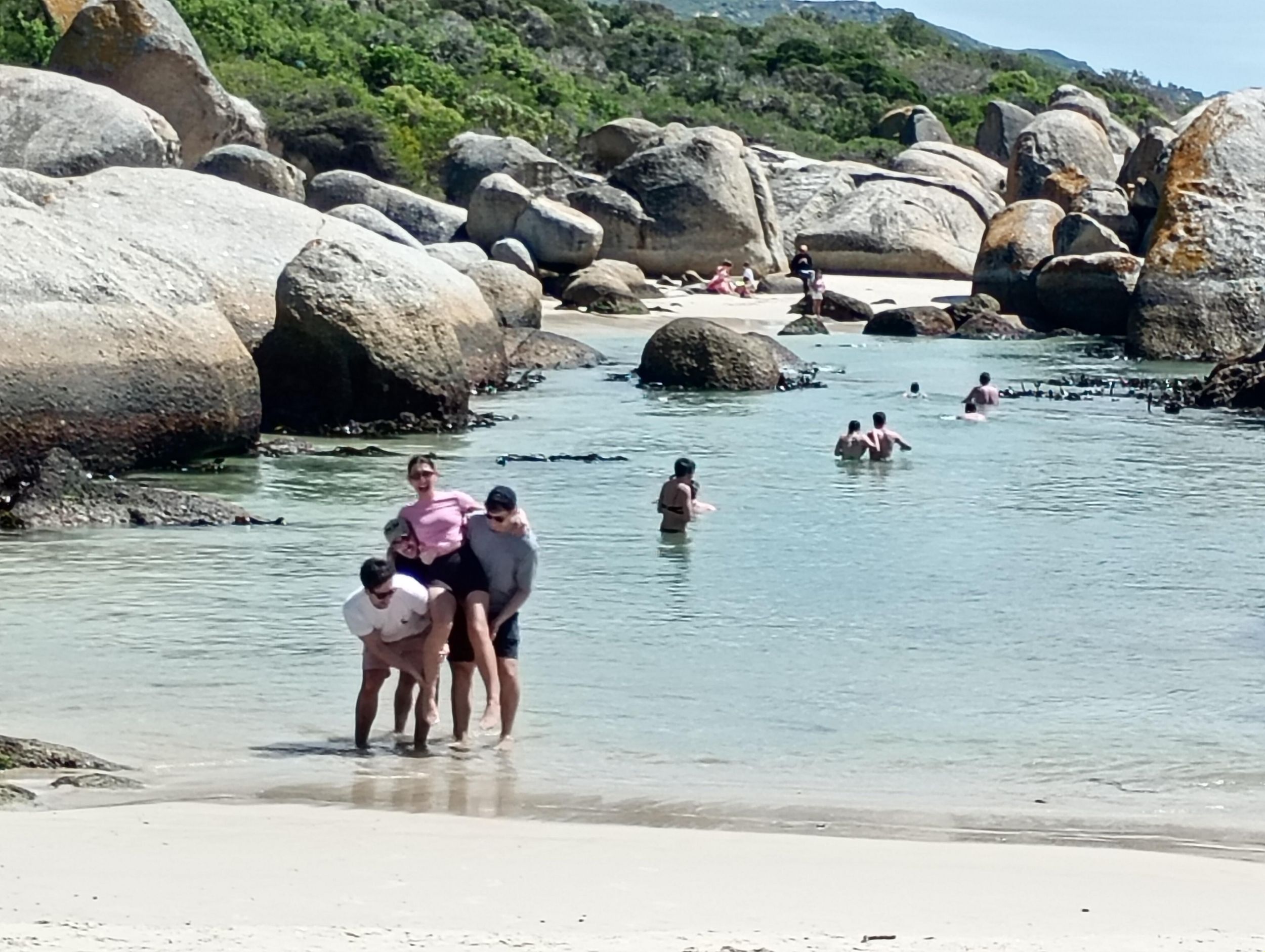 Von Stellenbosch: Küsten-Tour mit Besuch der Pinguin-Kolonie