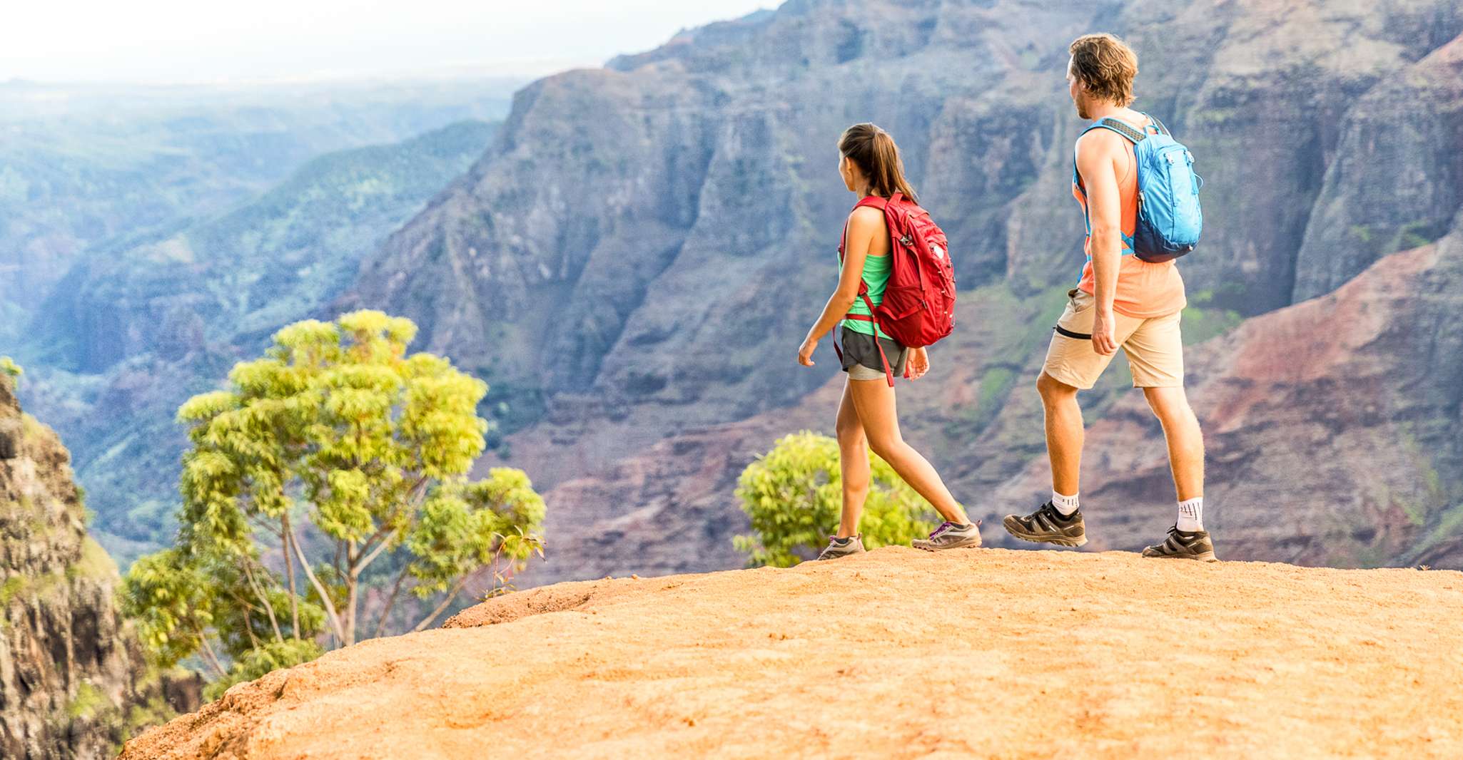 Kauai, Full-Day Waimea Canyon & Wailua River Tour - Housity