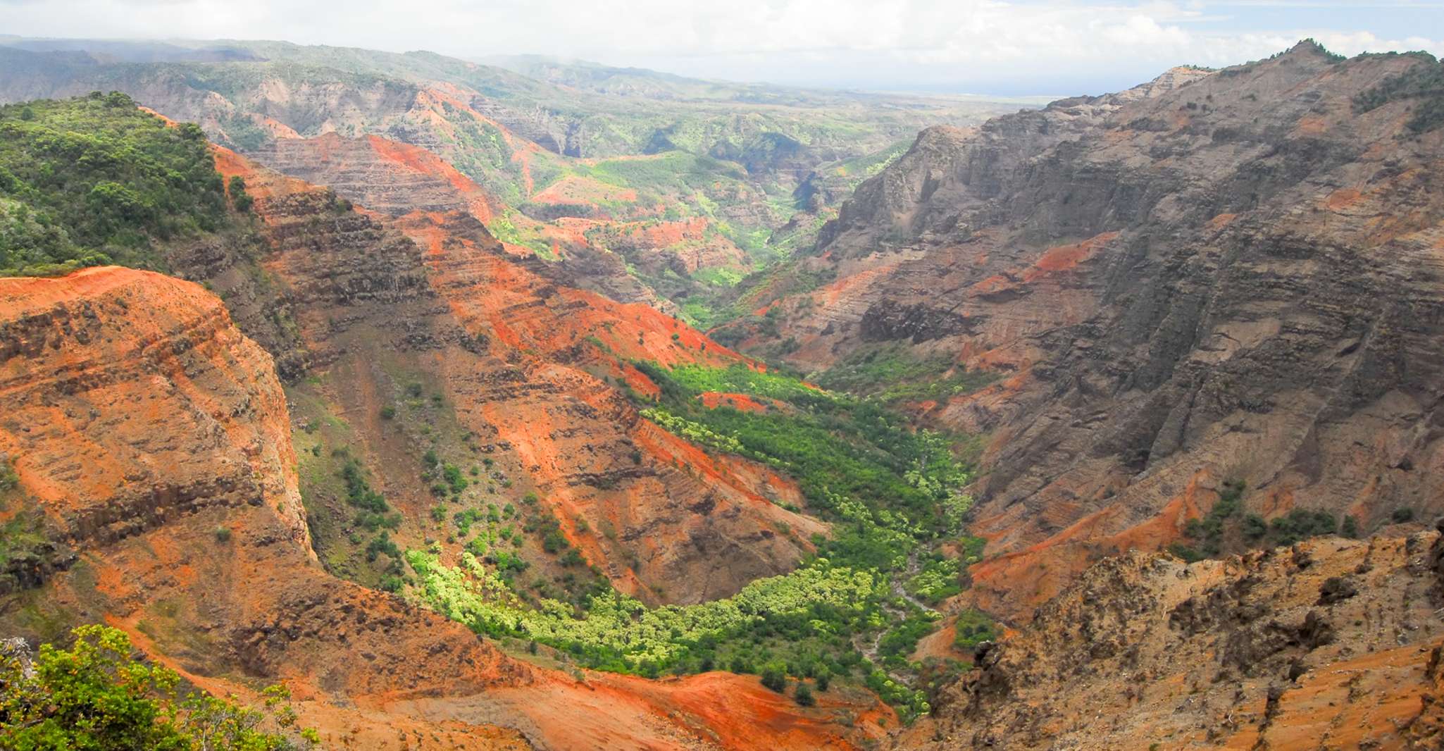 Kauai, Full-Day Waimea Canyon & Wailua River Tour - Housity