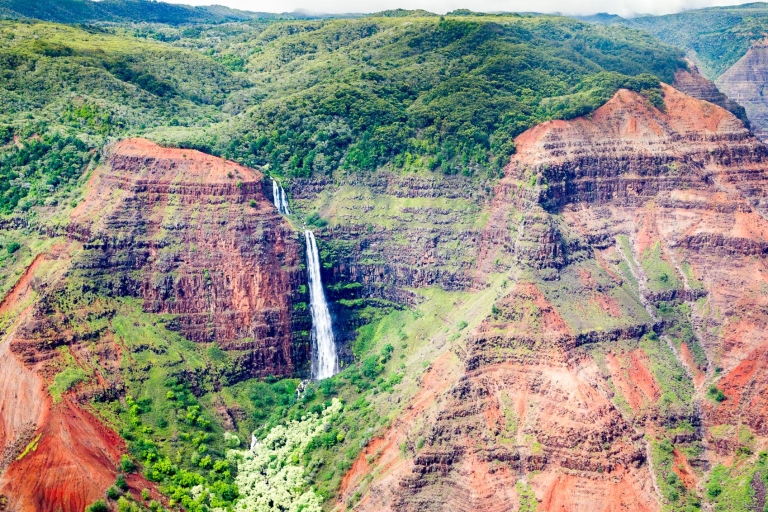 Kauai : excursion à Waimea Canyon et à la rivière WailuaVisite du Canyon de Waimea, de la rivière Wailua et de la Grotte de la Fougère