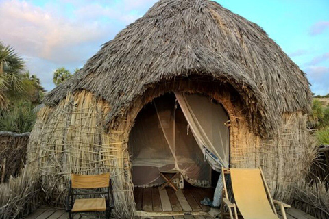 Nairobi: 7-Day Lake Turkana Safari with Tented Camps7-day Unforgettable Expedition to Turkana National Park.