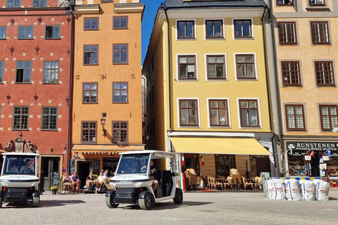 Stockholm Highlights by Private Golf Cart Tour Stockholm Higlights by Golf Cart 90 min