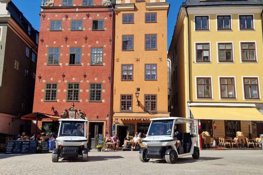 Stockholm Highlights mit privater Golf Cart Tour. Foto: GetYourGuide