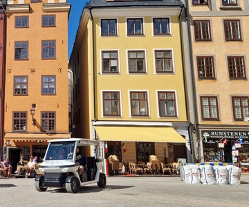 Stockholm Highlights by Golf Cart Tour