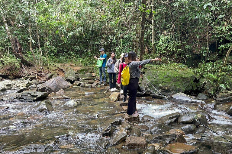 Au départ de Hue/Da Nang : Randonnée de luxe dans le parc national de Bach MaDe Da Nang : Parc national de Bach Ma