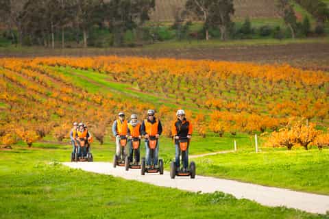 Barossa Valley: 1-Hour Segway Winery Tour