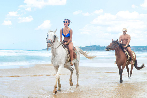 Horseback Ride & Monkey Island Tour with Pickup Puerto Plata