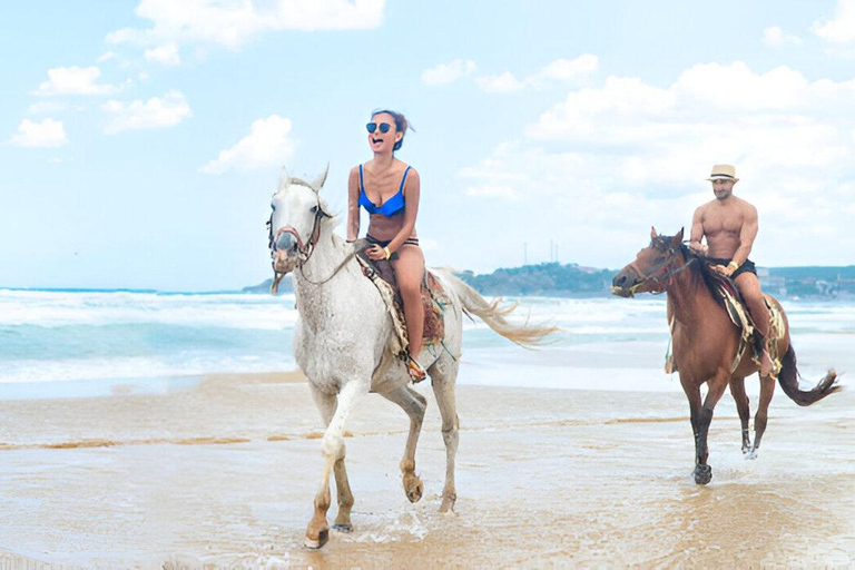 Horseback Ride & Monkey Island Tour with Pickup Puerto Plata