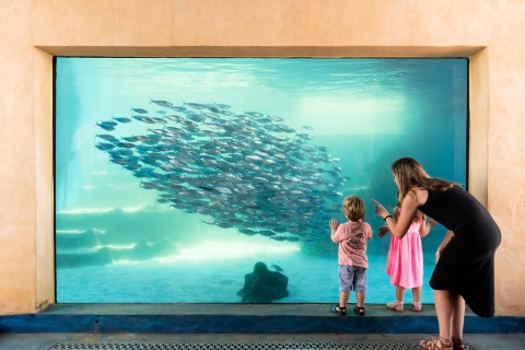 Billets d'entrée générale pour l'aquarium AQWA d'Australie occidentale