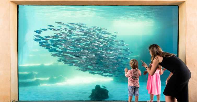 Perth AQWA Aquarium of Western Australia Entry Tickets