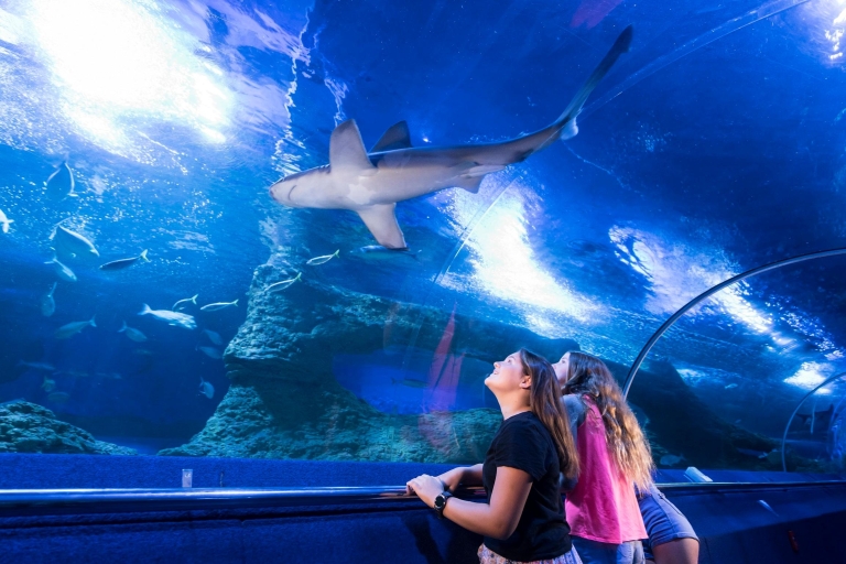Billets d'entrée générale pour l'aquarium AQWA d'Australie occidentale