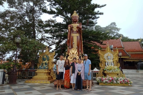 Ab Chiang Mai: Doi-Suthep-Tempel und Buatong-Wasserfall