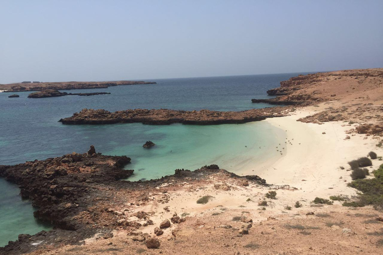 Mascate : tour en bateau privé des îles Daymaniyat avec plongée en apnée